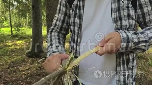 徒步旅行者用刀子清除树皮视频