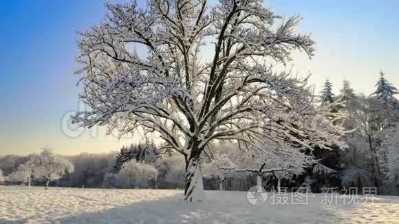 冬天的农村冬季录像视频