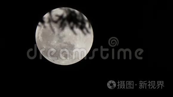 夜晚满月的超级月顶上的暗枝视频