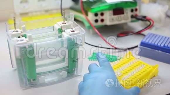 实验室工作场所进行DNA检测.