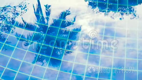 蓝色清澈的海水反射着热带棕榈视频