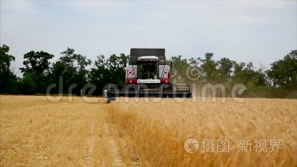 小麦背景农业机械组合收割机和拖拉机在田间工作，慢运动。 股票