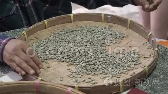 用圆柳条脱粒篮或竹筛把阿拉伯咖啡豆分类的人的手，质量控制