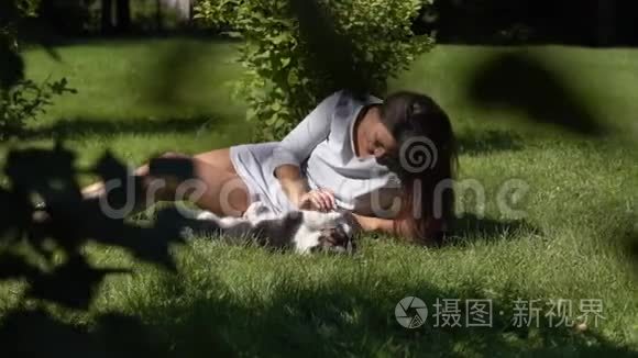 长头发的小女孩在草地上的公园里和一只小狗玩，心情很好。慢动作。 高清高清