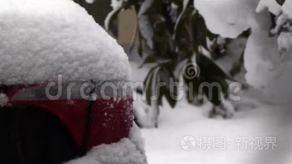 白雪坐在红色汽车的红色尾灯上视频