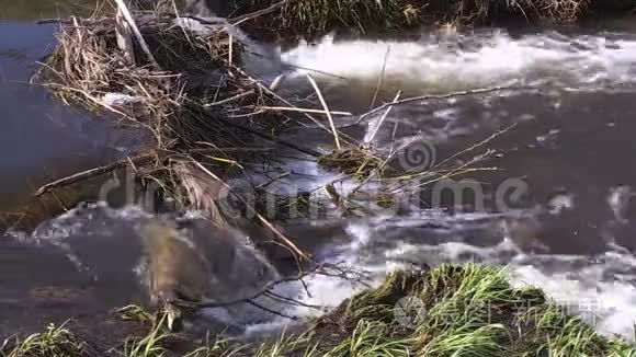 水从树枝和垃圾中流过水坝