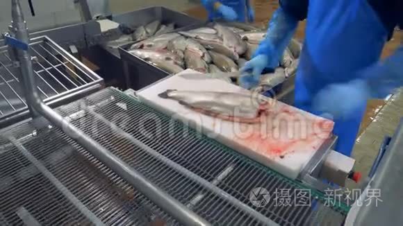 一个工厂工人把鱼`头砍下来，关起来.