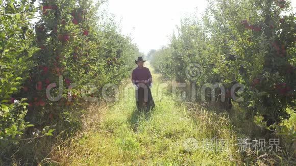 一个农夫在花园里提着一箱苹果视频