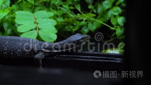 水监测员因下雨而感到孤独