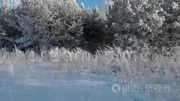 晴天的白雪公主冬林视频