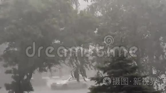 乌克兰极端飓风刮树视频