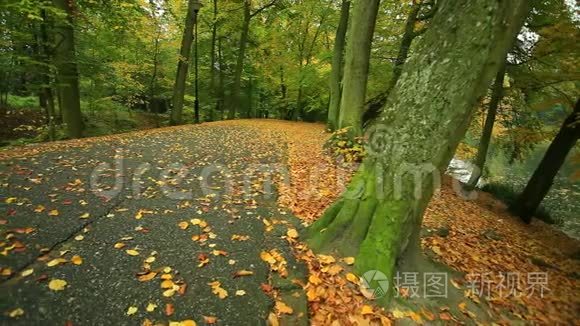 公园道路景观。 全高清机动滑块。 1080便士