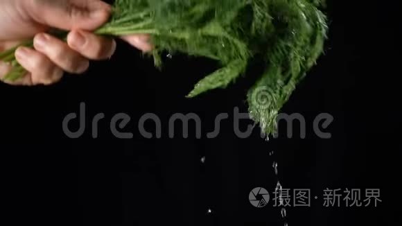 落下的水滴在摇动一片鳃叶时视频