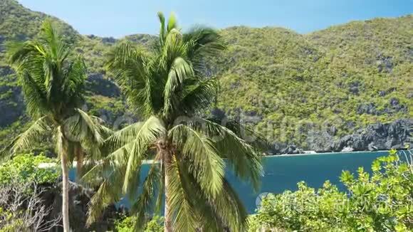 菲律宾一个热带岛屿后面有蓝色水的椰子树短视频