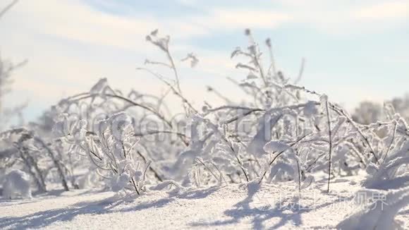 一个人走在雪地里视频