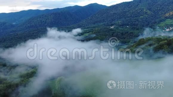 神秘而多雾的无人驾驶飞机飞越树冠原始热带雨林。鸟瞰，电影4K