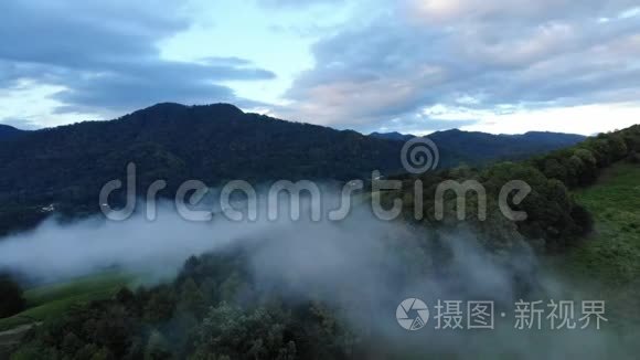 神秘而多雾的无人驾驶飞机飞越树冠原始热带雨林。鸟瞰，电影4K