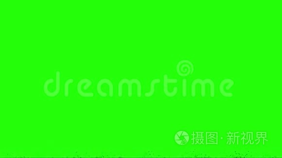 绿幕背景视频素材 绿幕背景实拍视频下载 第1页 摄图新视界视频库