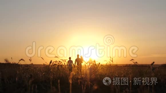 幸福的家庭在夕阳下漫步在田野里。 爸爸妈妈和女儿在阳光下在公园里散步。 儿童和