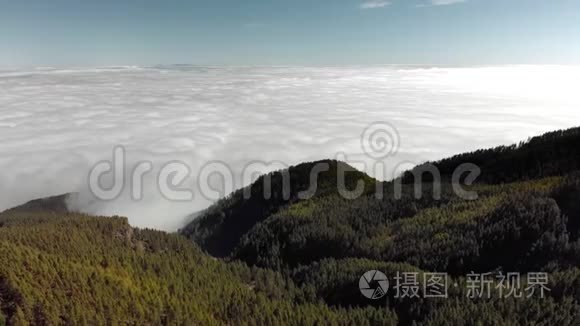 空中射击。 一个梦幻的景观，有大量的绿色松树和杉树，雾中的多雨森林和低矮的堆