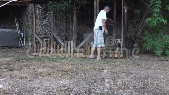 从笼子里放宠物的人视频