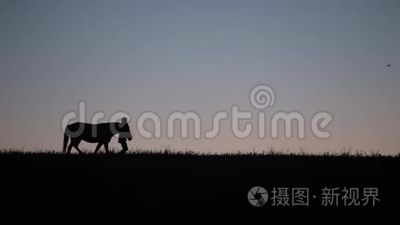 落日背景下与马同步的女子剪影