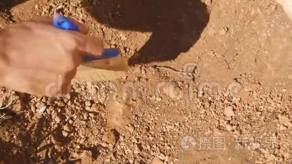 年轻的考古学家在考古遗址工作视频