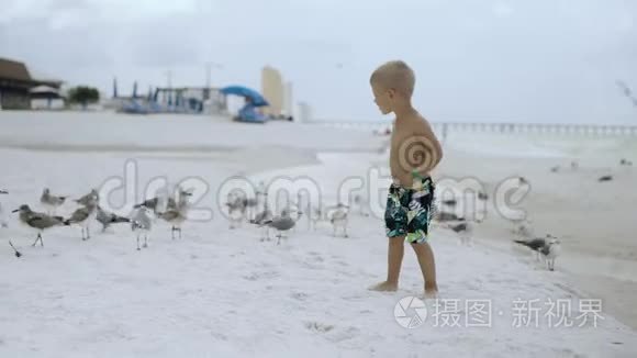 阳光明媚的一天，小男孩在美丽的海滩上飞鸟鸥