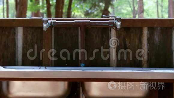 在松林的自然背景上，水龙头与水滴进入不锈钢水槽。 节约用水的概念。