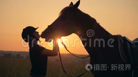 棕马在夕阳下嗅着它的雌马视频