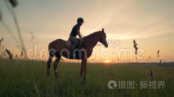 日出景观与骑师女士坐骑马视频