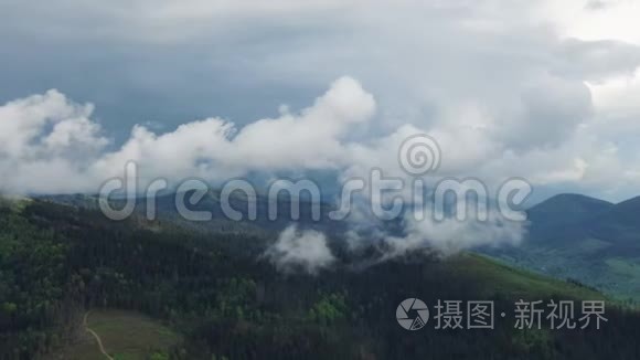 飞越一片令人惊叹的雨林，日出时带雾在雨林上空鸟瞰.. 4K空中录像，雨林