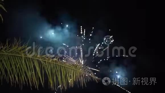 夜空中的烟火爆炸。 行动。 夜空中的烟花