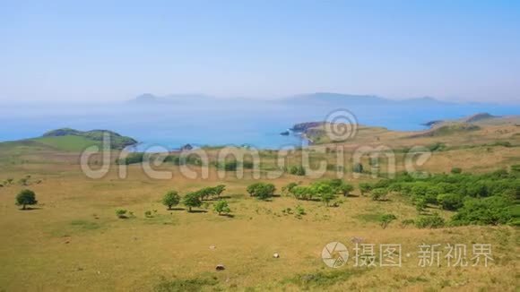 美丽的风景。 绿色草地和绿松石海的全景视频。 俄罗斯开放空间