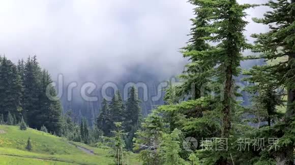 连绵的白雾笼罩着山地草地.