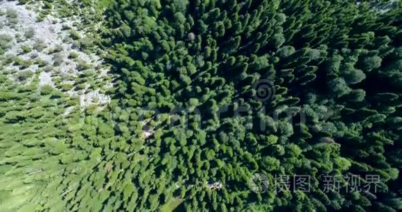 从山顶俯瞰美丽的松林，可以看到马来亚-里萨-阿布哈兹蓝山湖的全景。