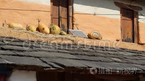 太阳能电池板和南瓜视频