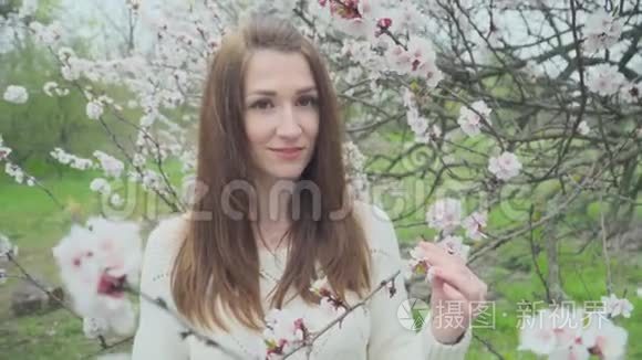春天盛开的大树旁美丽的姑娘视频