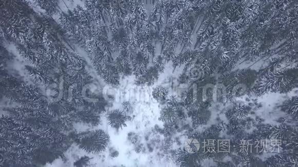 冬季从雪山顶上飞松视频