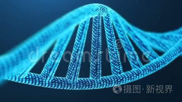 旋转的3D呈现人工整型DNA分子。 将DNA转换成二进制码.. 概念二进制基因组