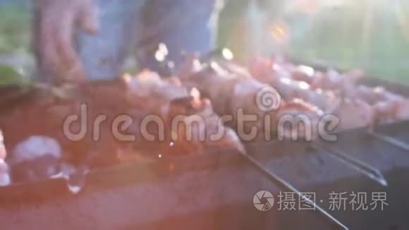 钉在烤架上的热串放在烤架上视频
