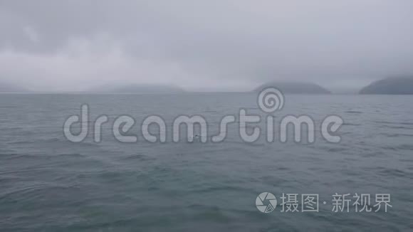 鸟瞰海水，多云天际线上的岛屿和漂浮在水中的海鸟