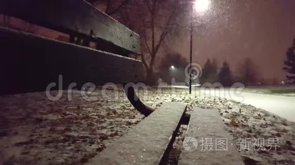 从长凳上俯瞰公园景色的雪夜