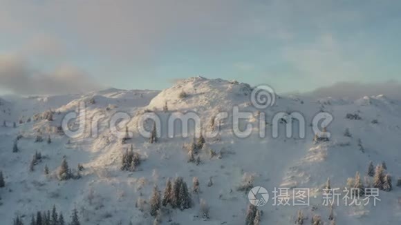挪威的冬雪森林视频