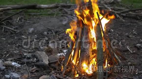 在火里把燃烧的柴火关起来。 野营。 农村生活。 壁炉里的火