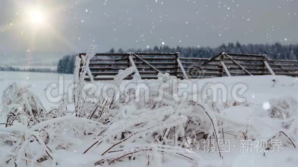 有阳光和雪障的冬季雪景视频