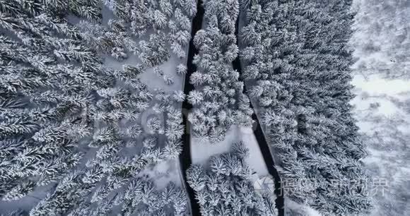 头顶鸟瞰簪弯转弯路中山雪覆冬林.. 白色松树树林。 白雪公主