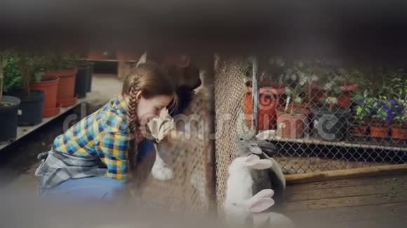 母亲和小女儿的农民正在笼子里喂兔子看着他们吃和笑家养动物快乐视频的预览图