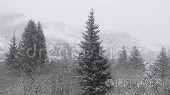 白雪覆盖着白雪的冬日乡村