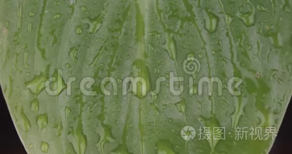 宏观特写，雨点落在绿叶上.. 水流顺着床单流下.